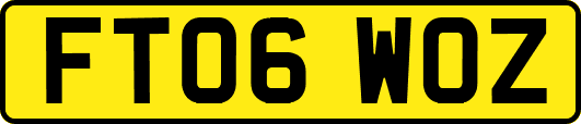 FT06WOZ