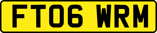 FT06WRM