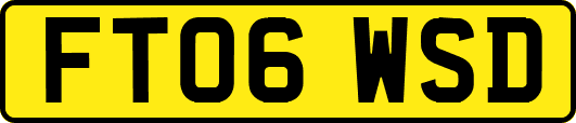 FT06WSD