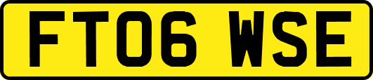 FT06WSE