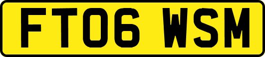 FT06WSM