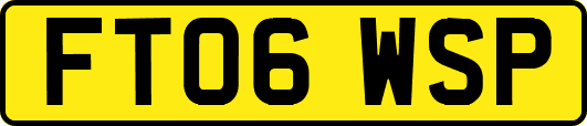 FT06WSP