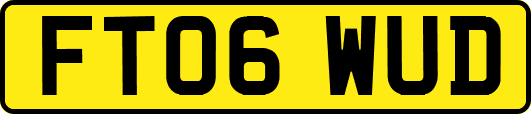 FT06WUD