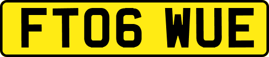 FT06WUE