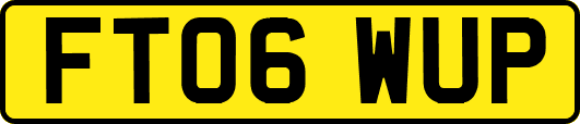FT06WUP