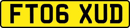 FT06XUD