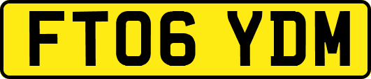 FT06YDM