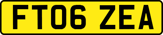 FT06ZEA
