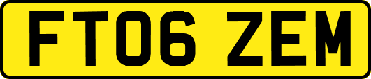 FT06ZEM