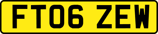 FT06ZEW