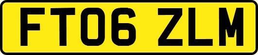 FT06ZLM