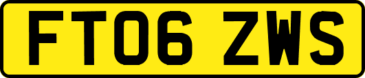 FT06ZWS