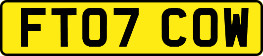 FT07COW
