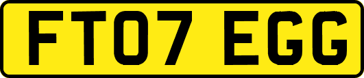 FT07EGG