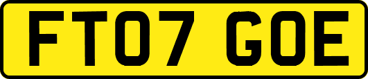 FT07GOE