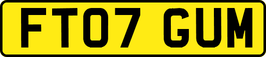 FT07GUM