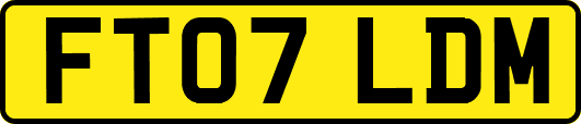 FT07LDM