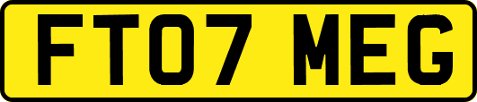 FT07MEG