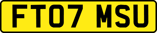 FT07MSU
