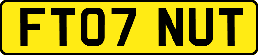 FT07NUT