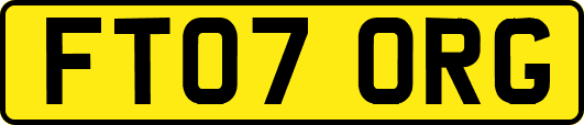 FT07ORG