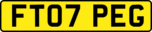 FT07PEG