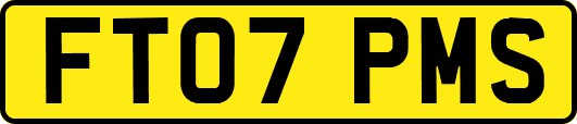 FT07PMS