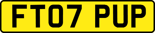 FT07PUP