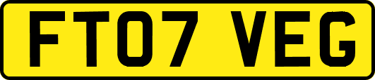 FT07VEG