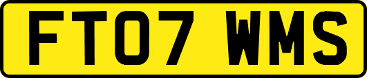 FT07WMS