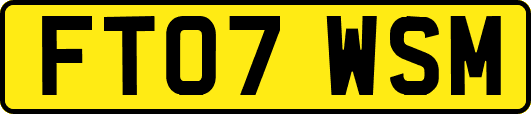 FT07WSM