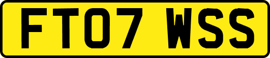FT07WSS