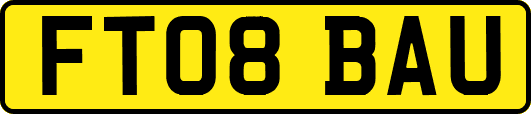 FT08BAU