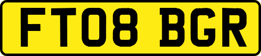 FT08BGR