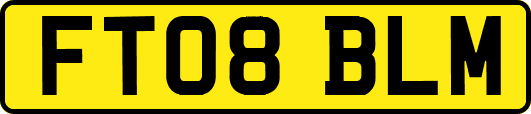 FT08BLM