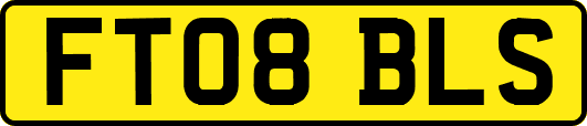 FT08BLS