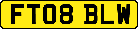 FT08BLW