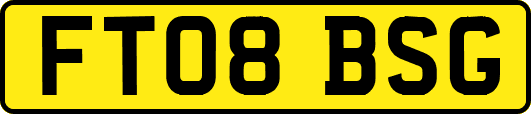 FT08BSG