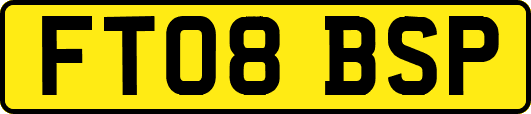 FT08BSP