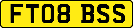 FT08BSS