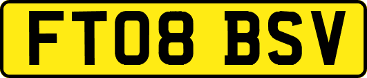 FT08BSV