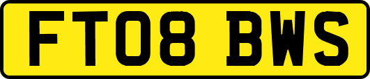 FT08BWS