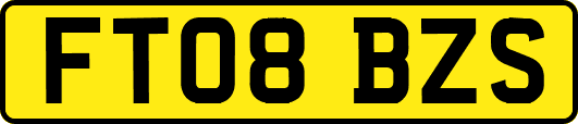 FT08BZS