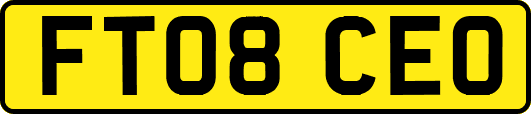 FT08CEO