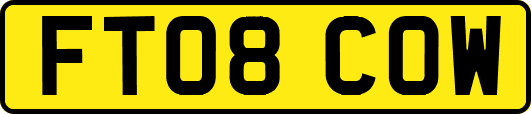 FT08COW