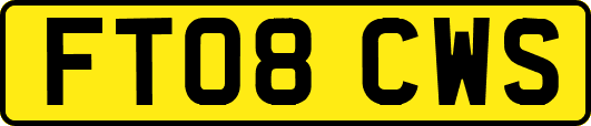 FT08CWS