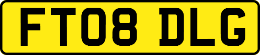 FT08DLG