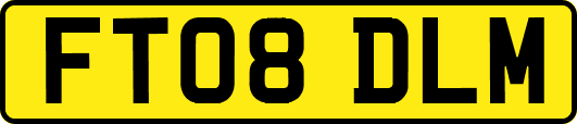 FT08DLM