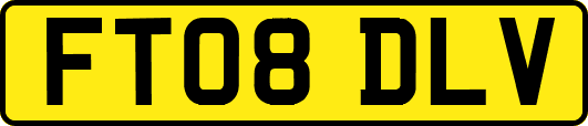 FT08DLV