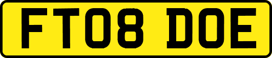 FT08DOE